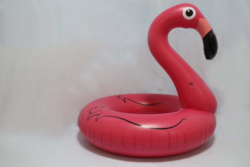 flamingo pool ring